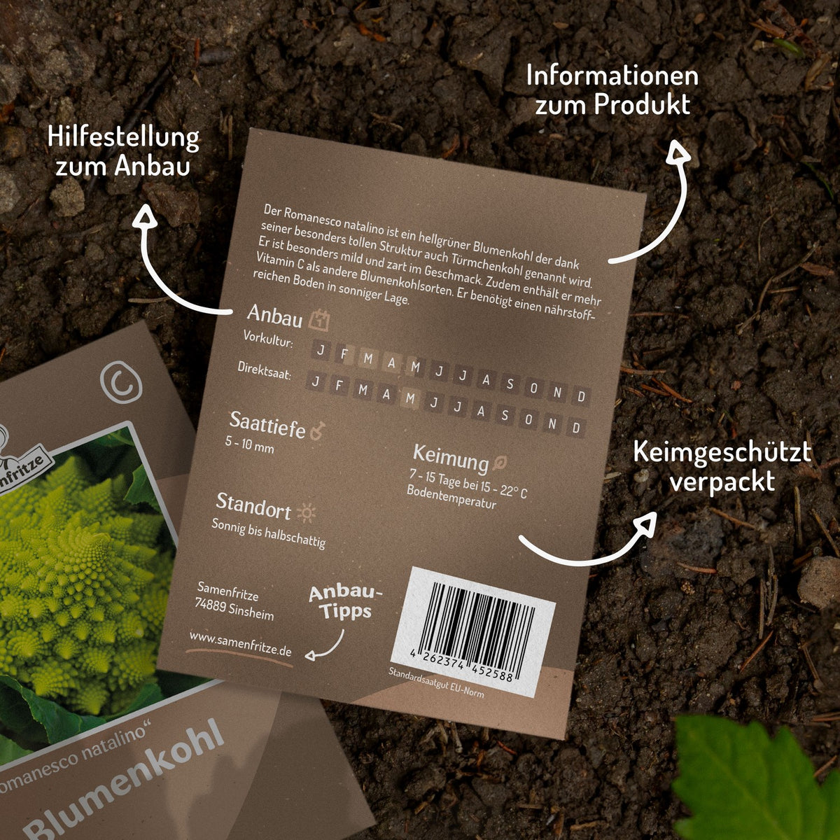 Blumenkohl Romanesco natalino Samen