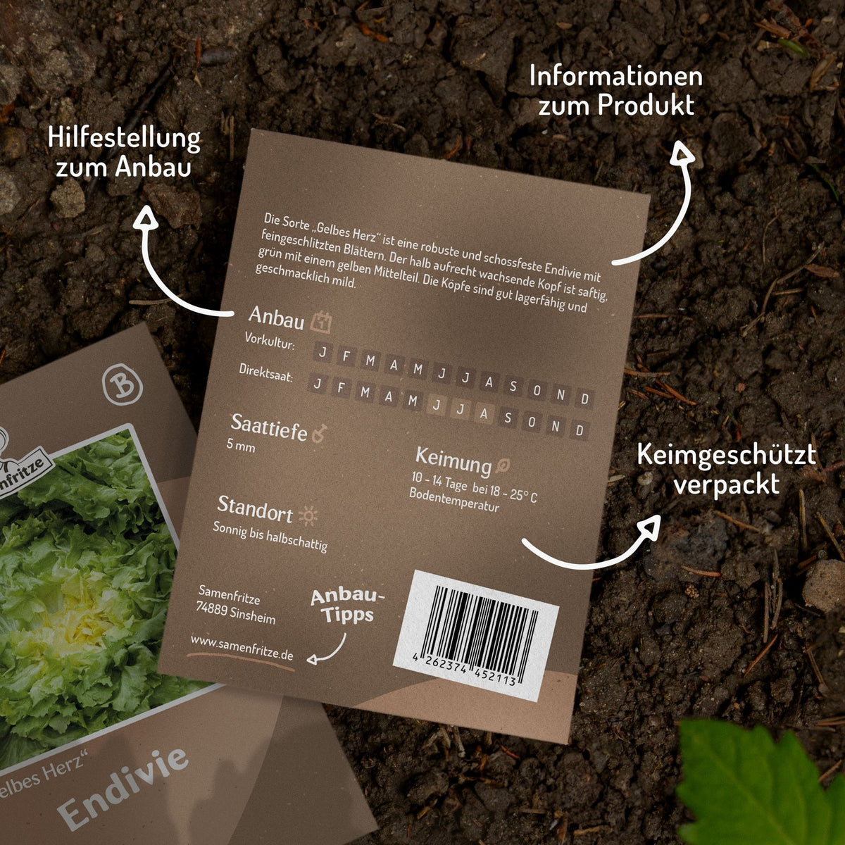 Endiviensalat Gelbes Herz Samen