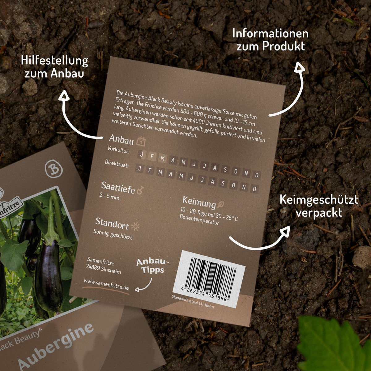 Aubergine Black Beauty Samen