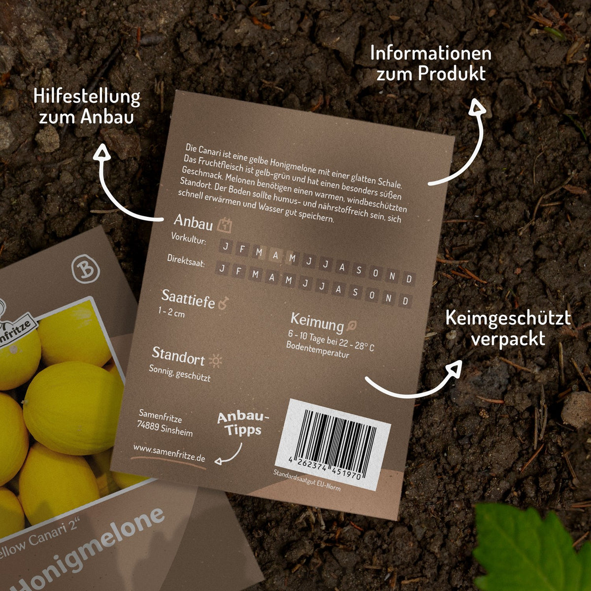 Honigmelone Yellow Canari 2 Samen