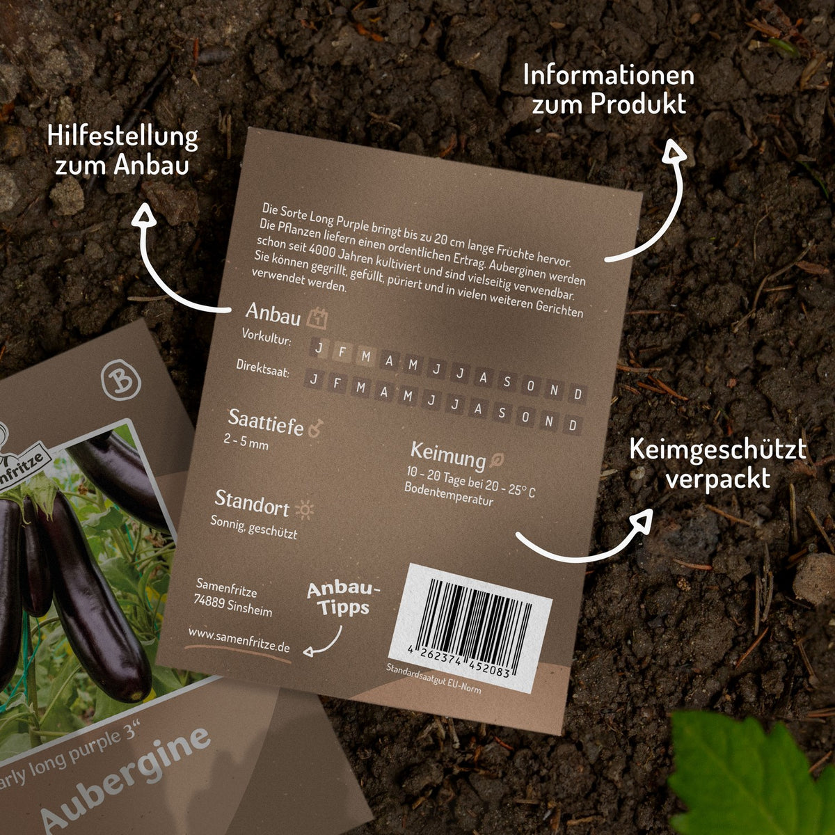 Aubergine Early Long Purple 3 Samen