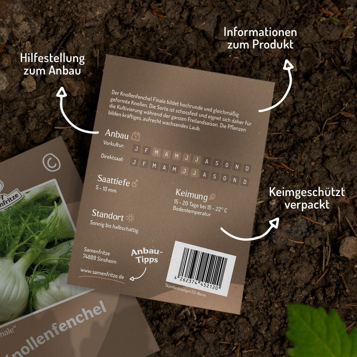 Knollenfenchel Finale Samen