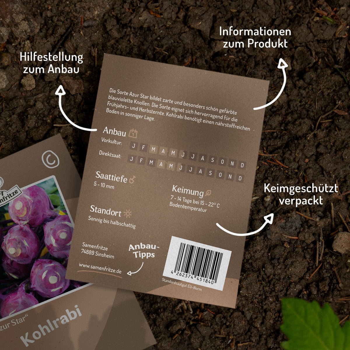 Kohlrabi Azur Star Samen