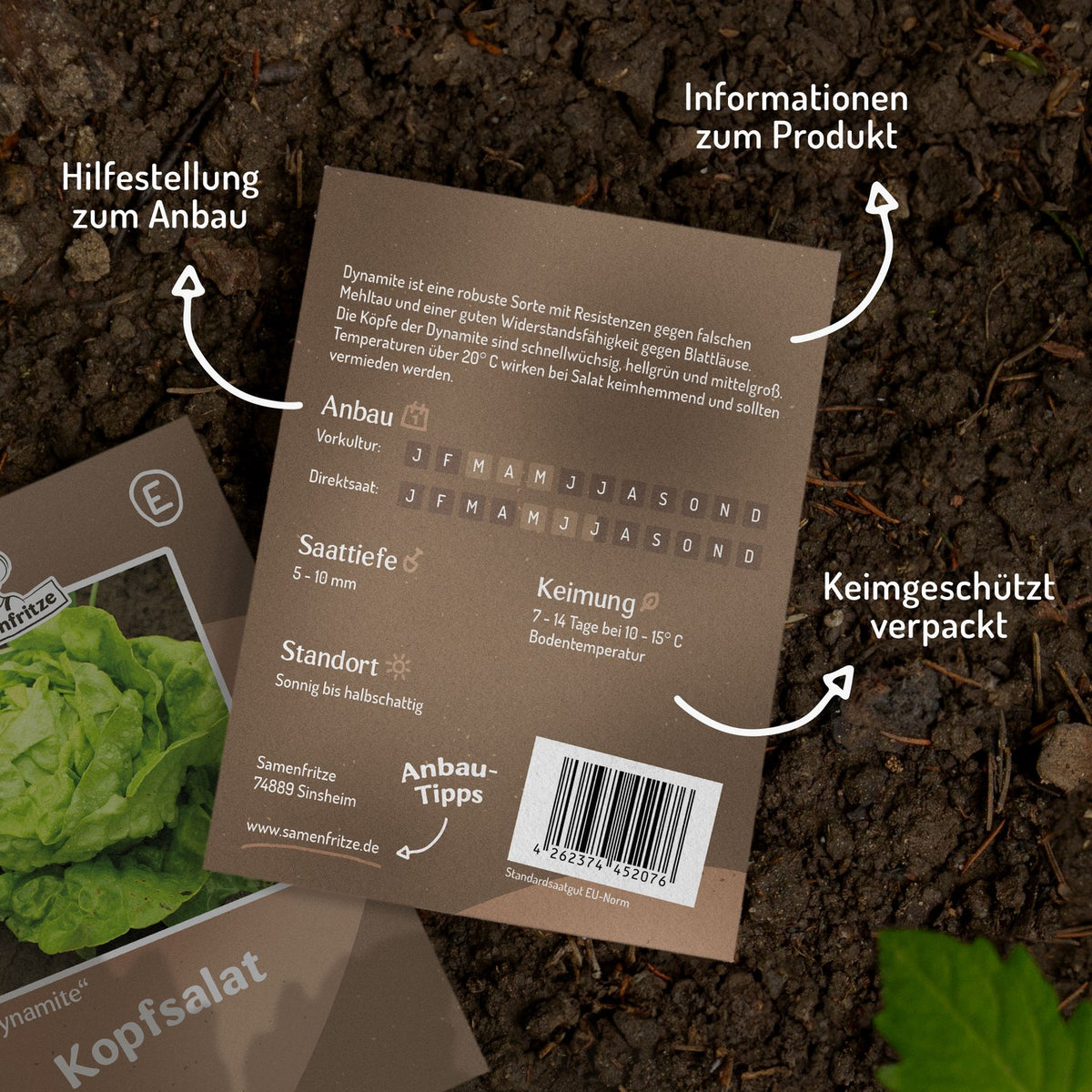 Kopfsalat Dynamite Samen