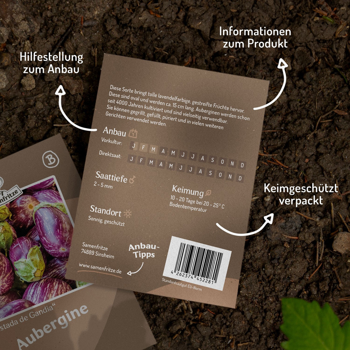 Aubergine Listada de Gandia Samen