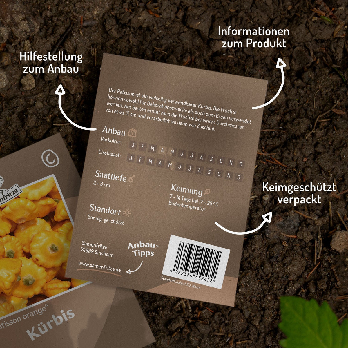 Kürbis Patisson orange Samen