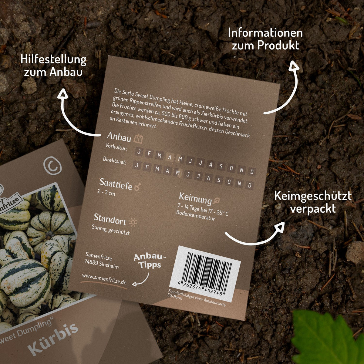 Kürbis Sweet Dumpling Samen