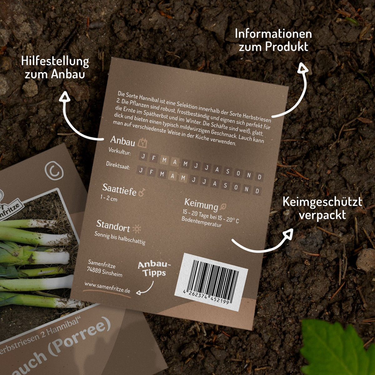 MHD 06/26 Lauch Herbstriesen 2 Hannibal Samen