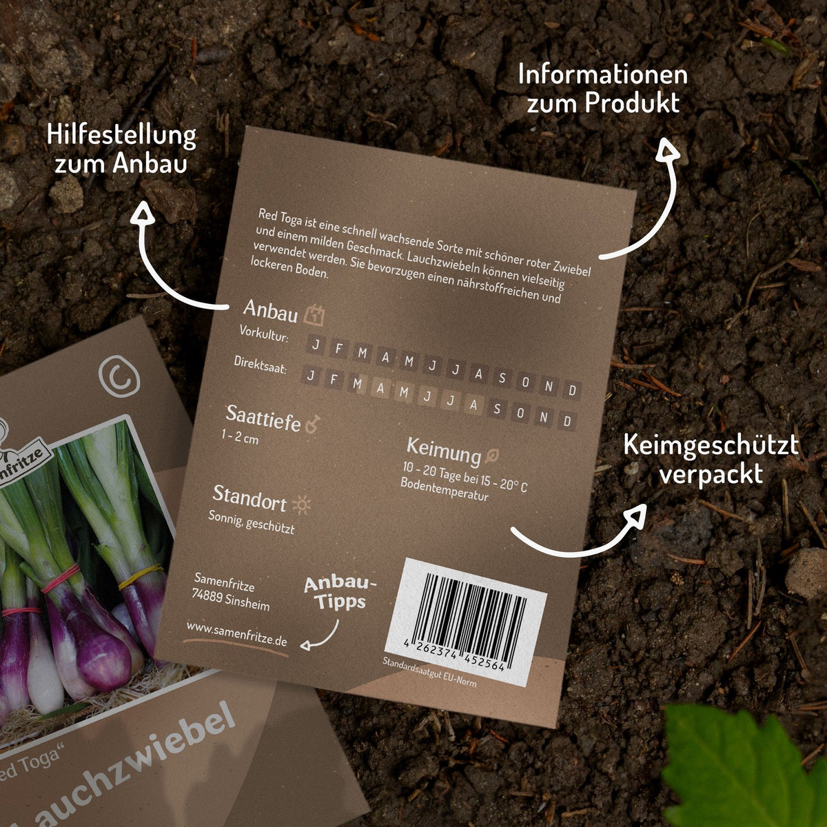 Lauchzwiebel Red Toga Samen