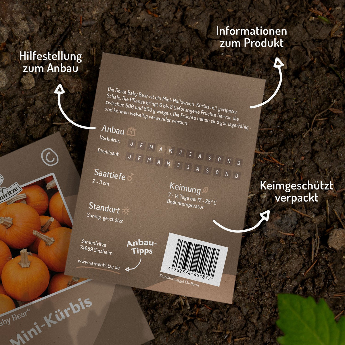 Halloweenkürbis Baby Bear Samen