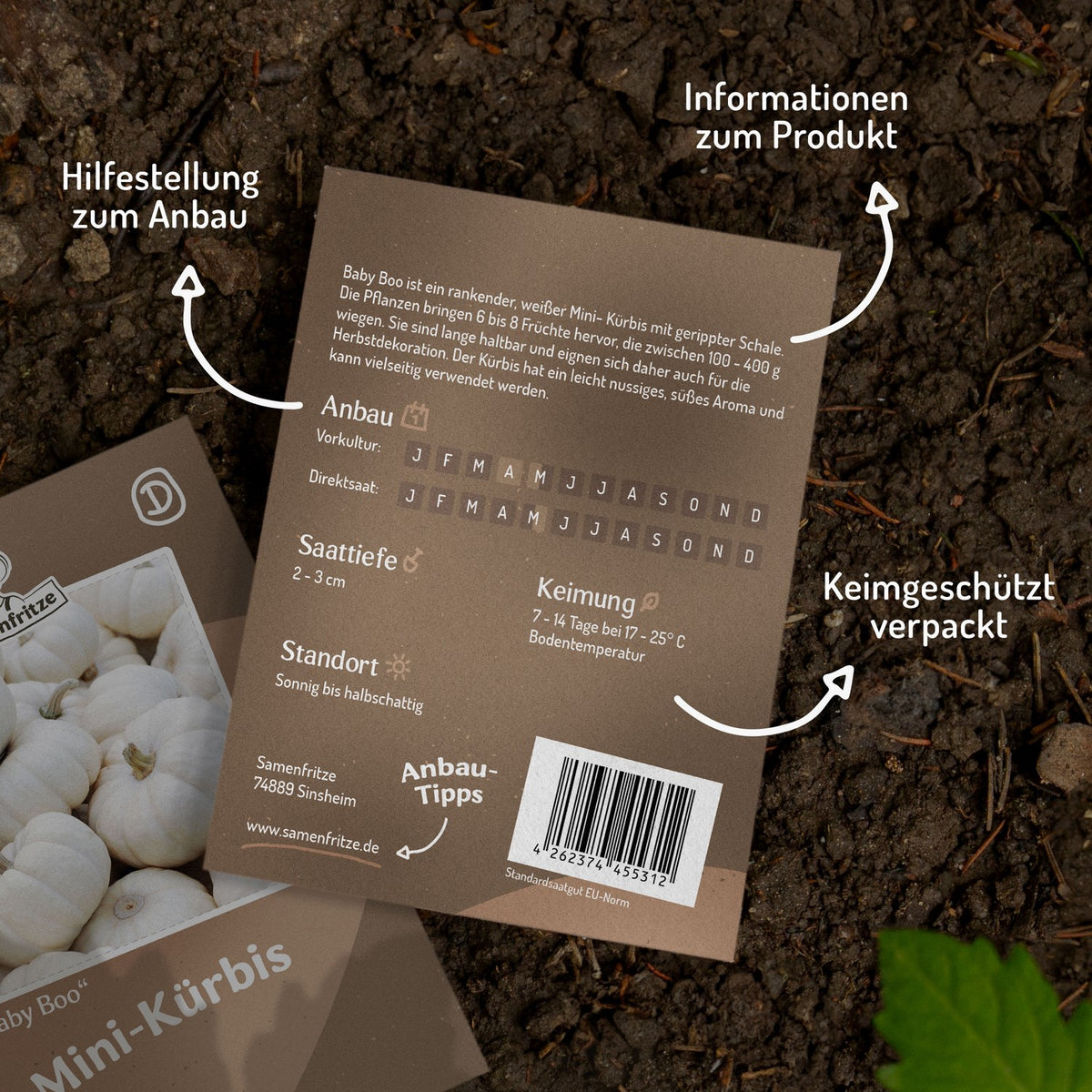 Mini-Kürbis Baby Boo Samen