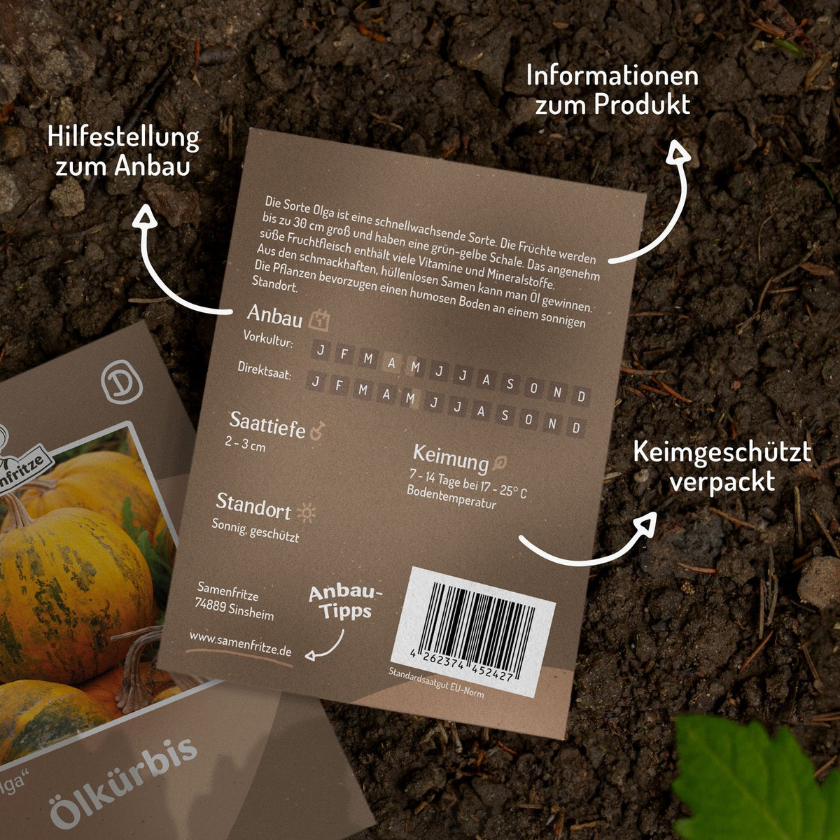 Ölkürbis Olga Samen