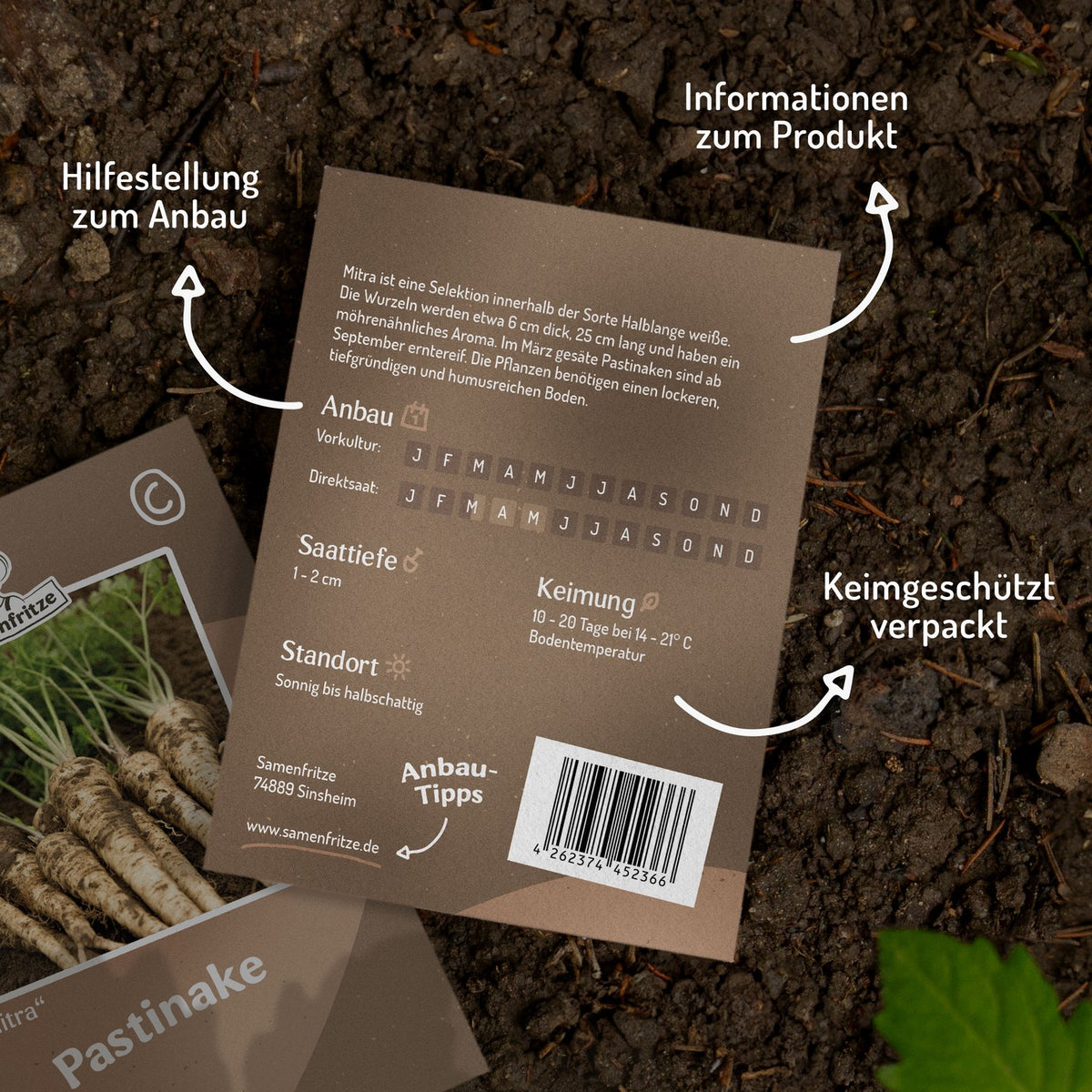 Pastinake Mitra Samen