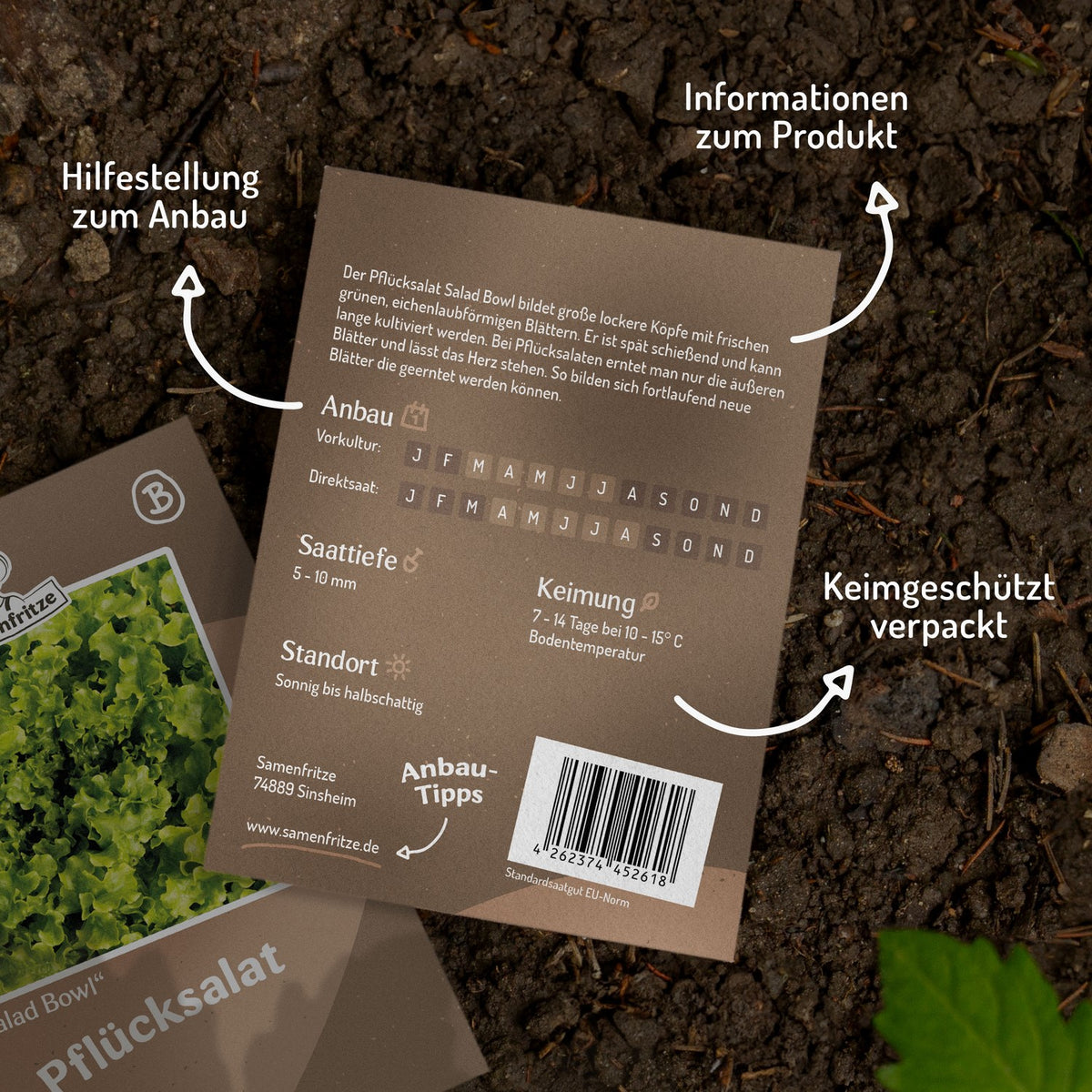 Pfücksalat Salad Bowl Samen