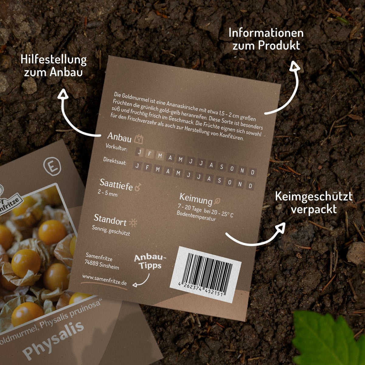 Ananaskirsche Goldmurmel Samen