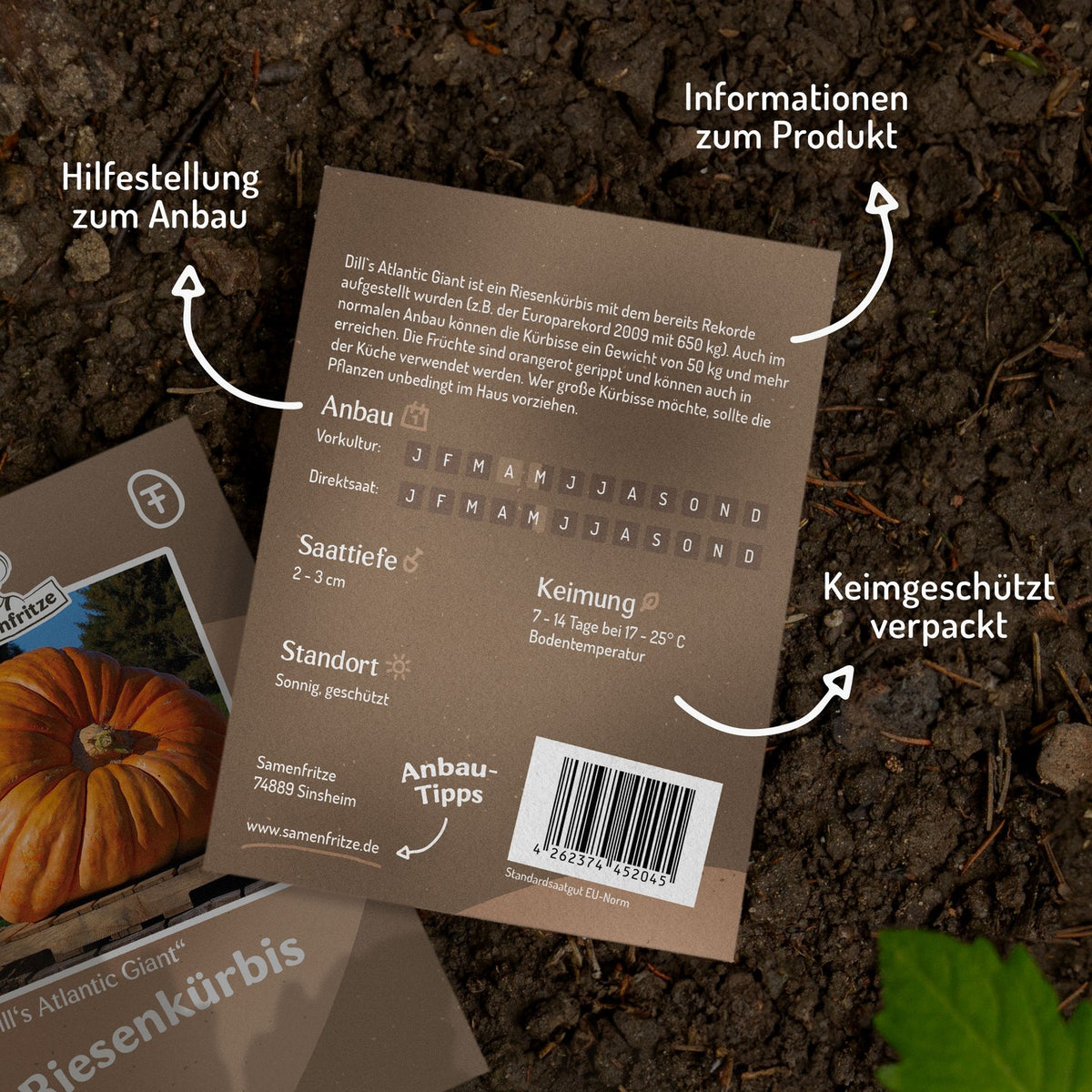 Riesenkürbis Dill`s Atlantic Giant Samen