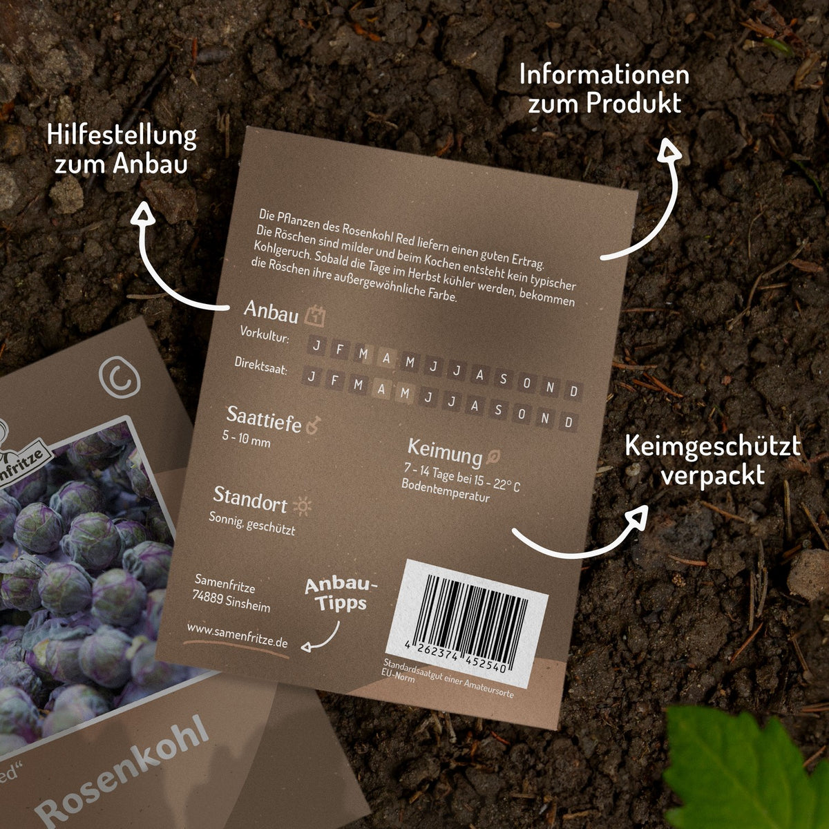 Rosenkohl Red Samen
