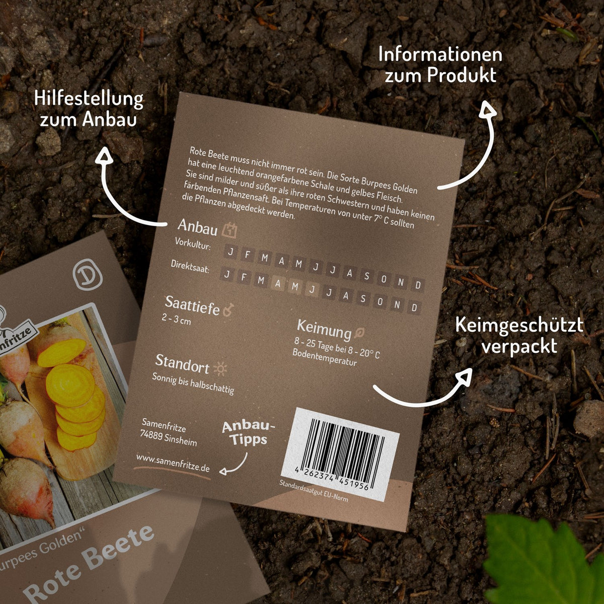 Rote Beete Burpees Golden Samen