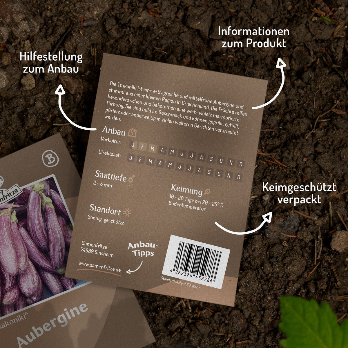 Aubergine Tsakoniki Samen