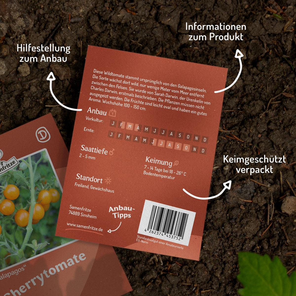 Galapagos Tomatensamen