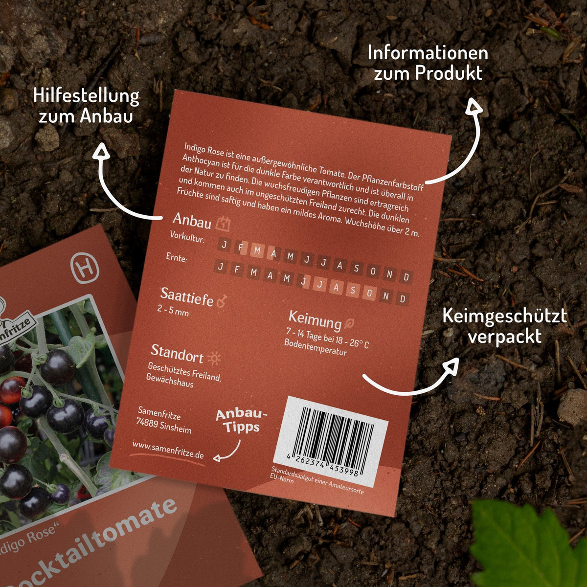 Indigo Rose Tomatensamen