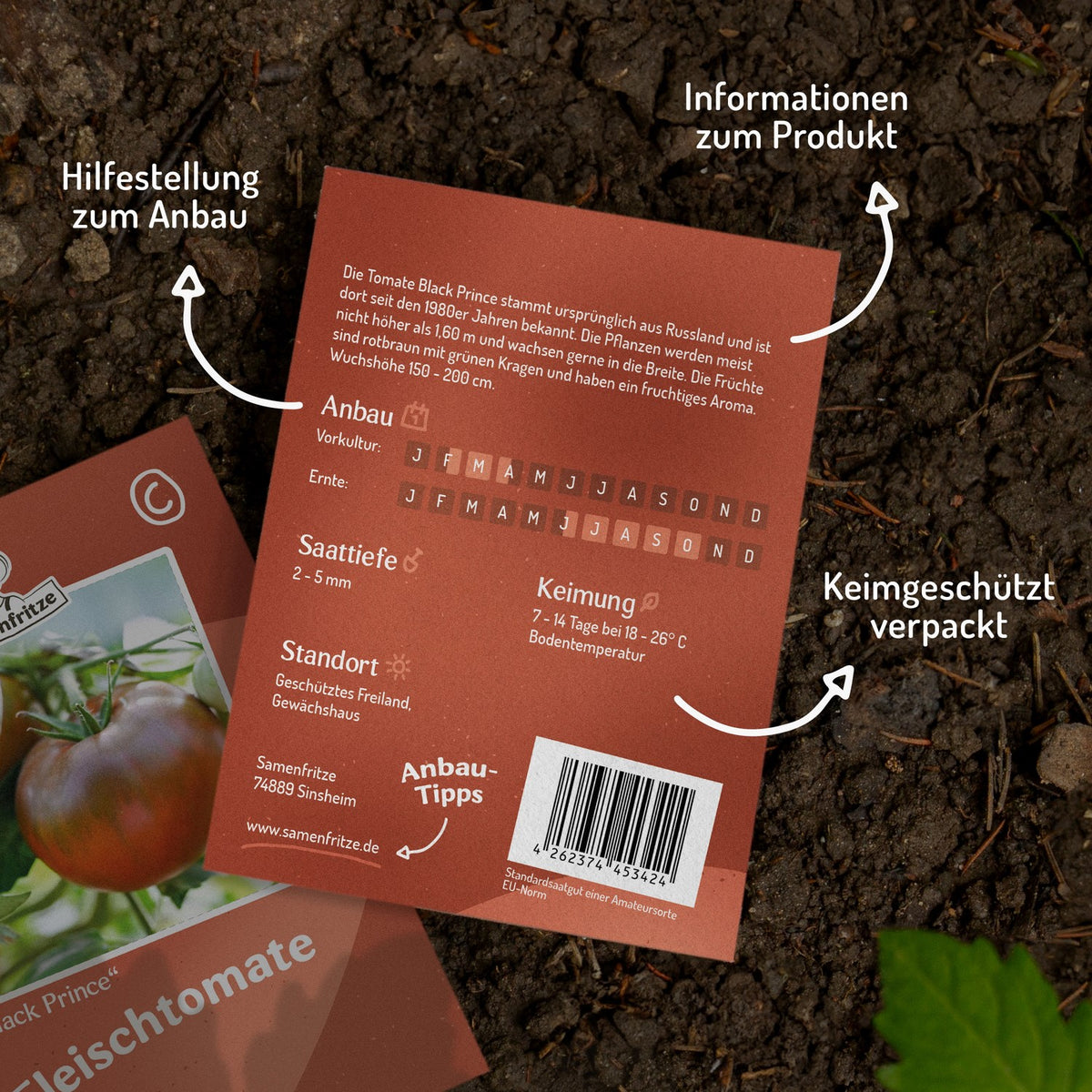 Black Prince Tomatensamen