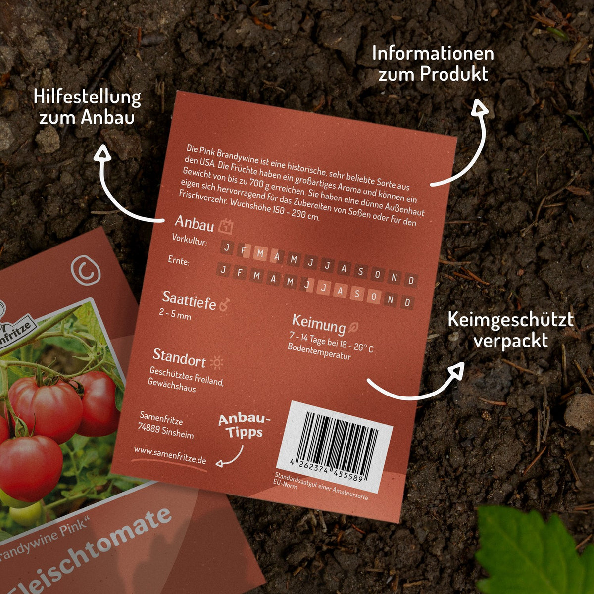 Brandywine pink Tomatensamen