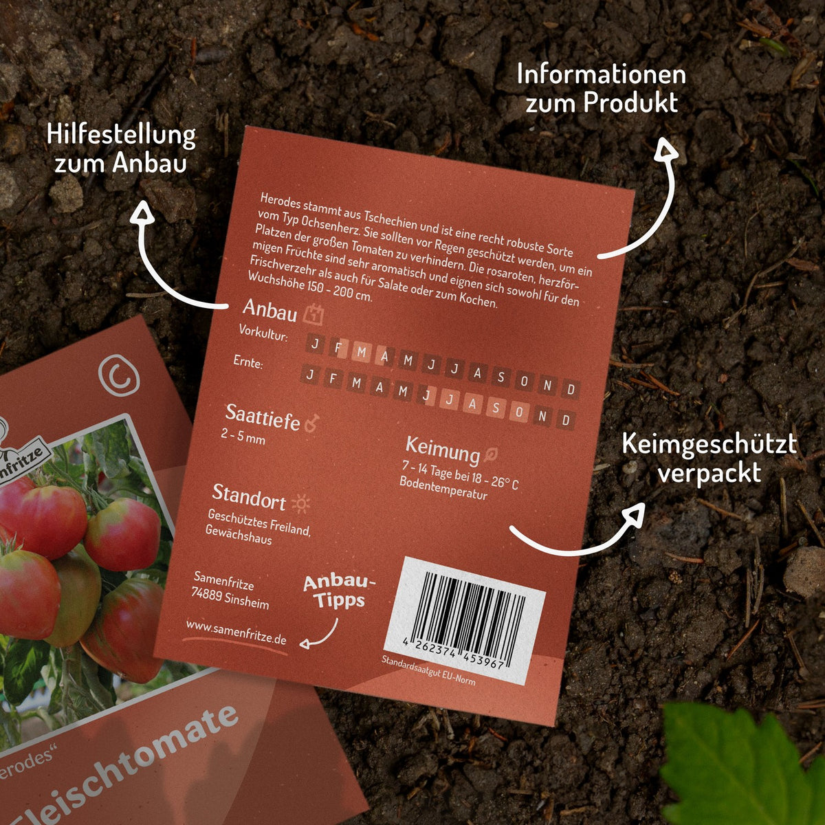 Herodes Tomatensamen