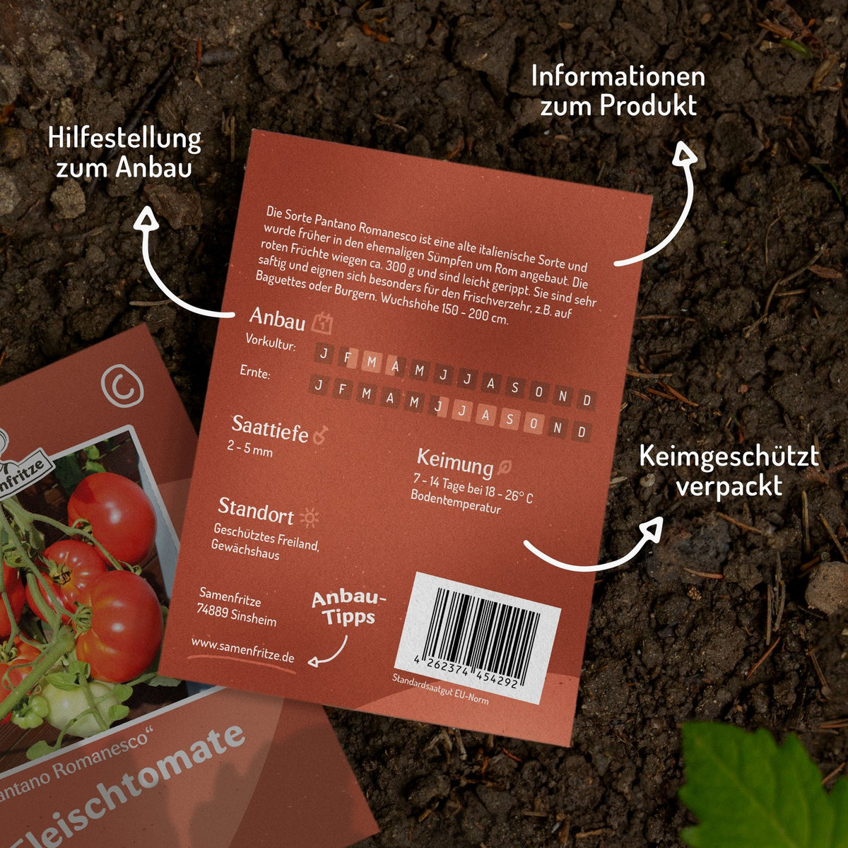 Pantano Romanesco Tomatensamen