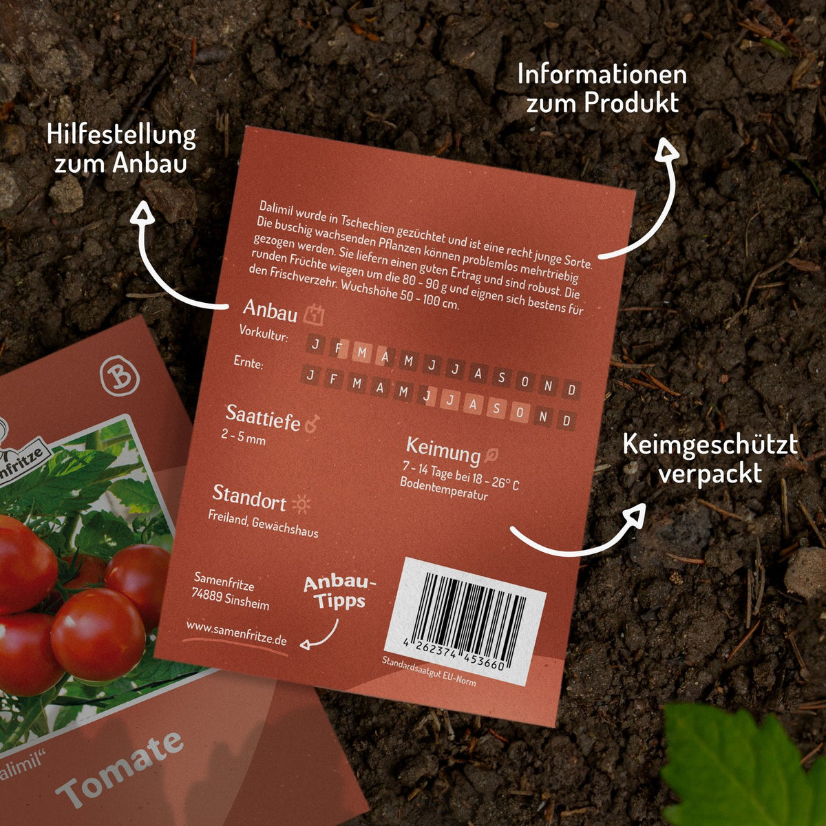 Dalimil Tomatensamen