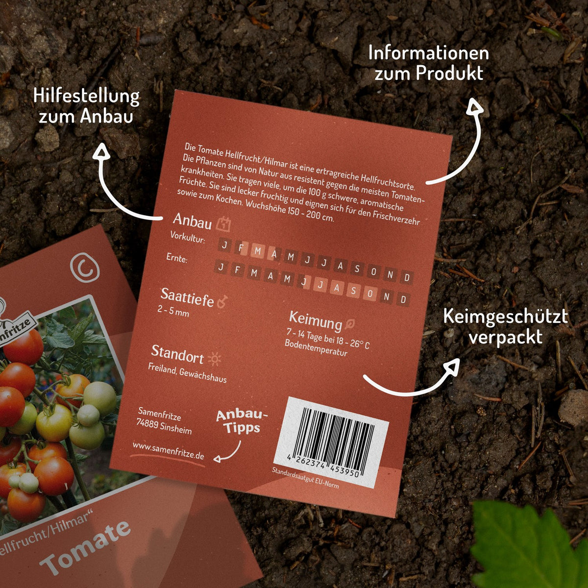Hellfrucht/Hilmar  Tomatensamen