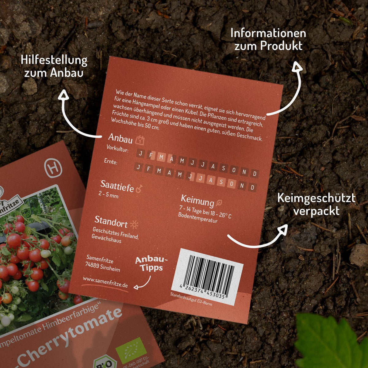 Ampeltomate Himbeerfarbige Bio-Tomatensamen