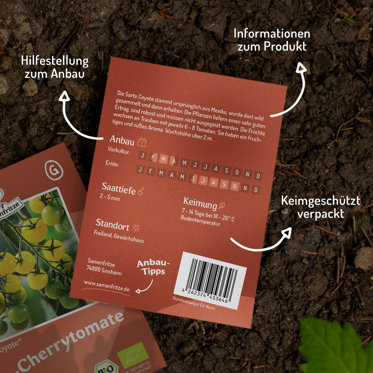 Coyote Bio-Tomatensamen