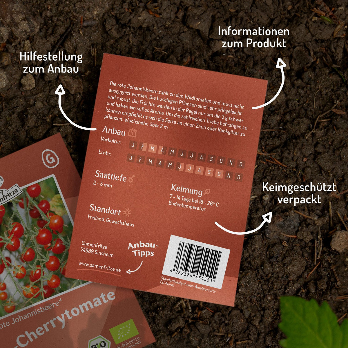 Rote Johannisbeere Bio-Tomatensamen