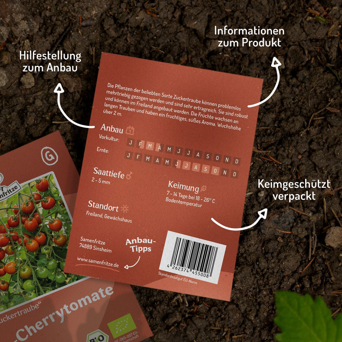 Zuckertraube Bio-Tomatensamen
