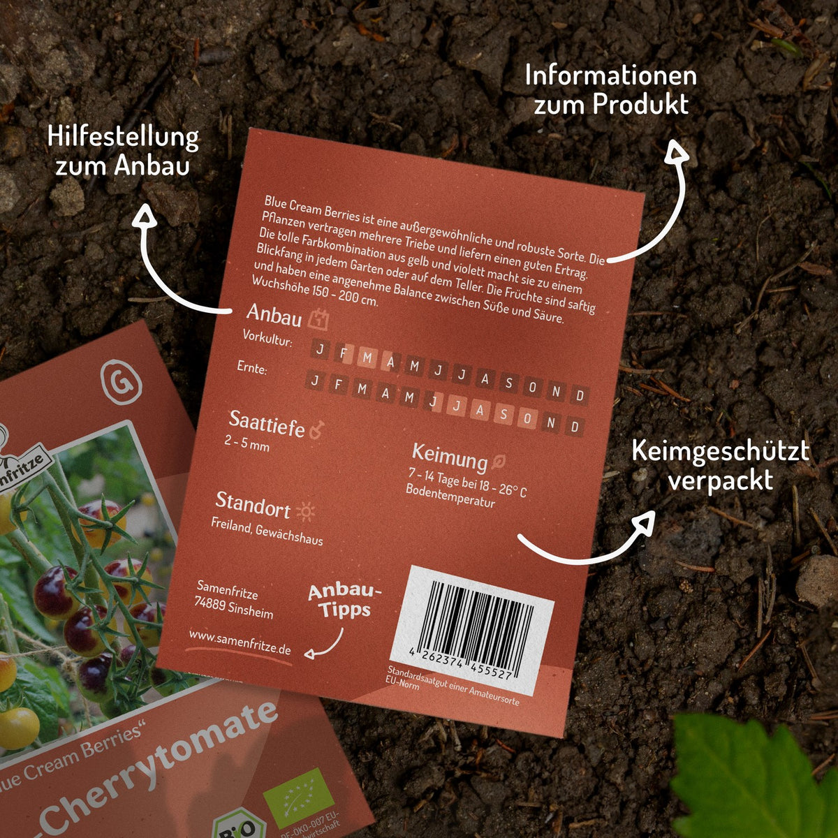 Blue Cream Berries Bio-Tomatensamen