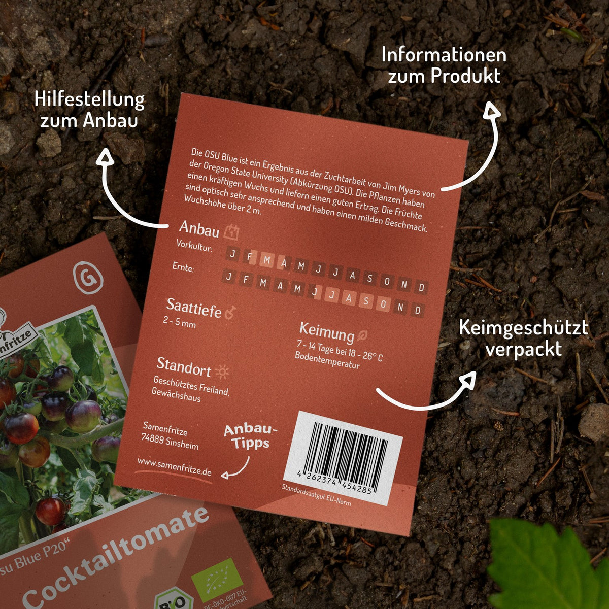 OSU Blue Bio-Tomatensamen