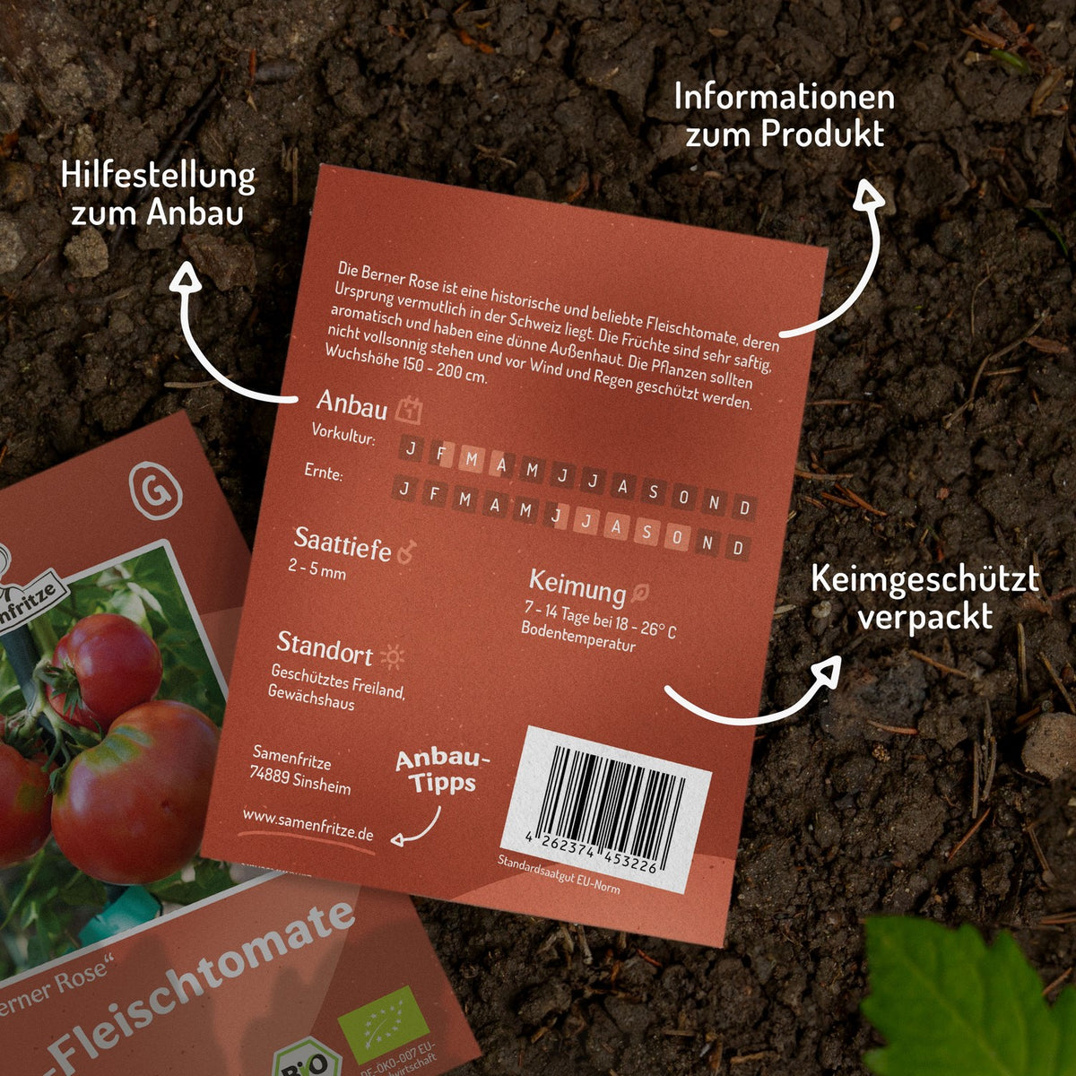 Berner Rose Bio-Tomatensamen