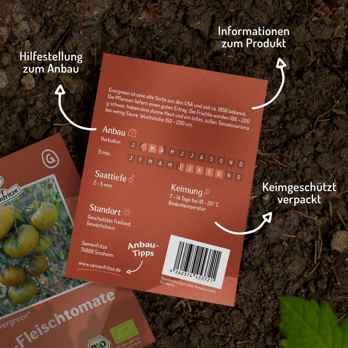 Evergreen Bio-Tomatensamen