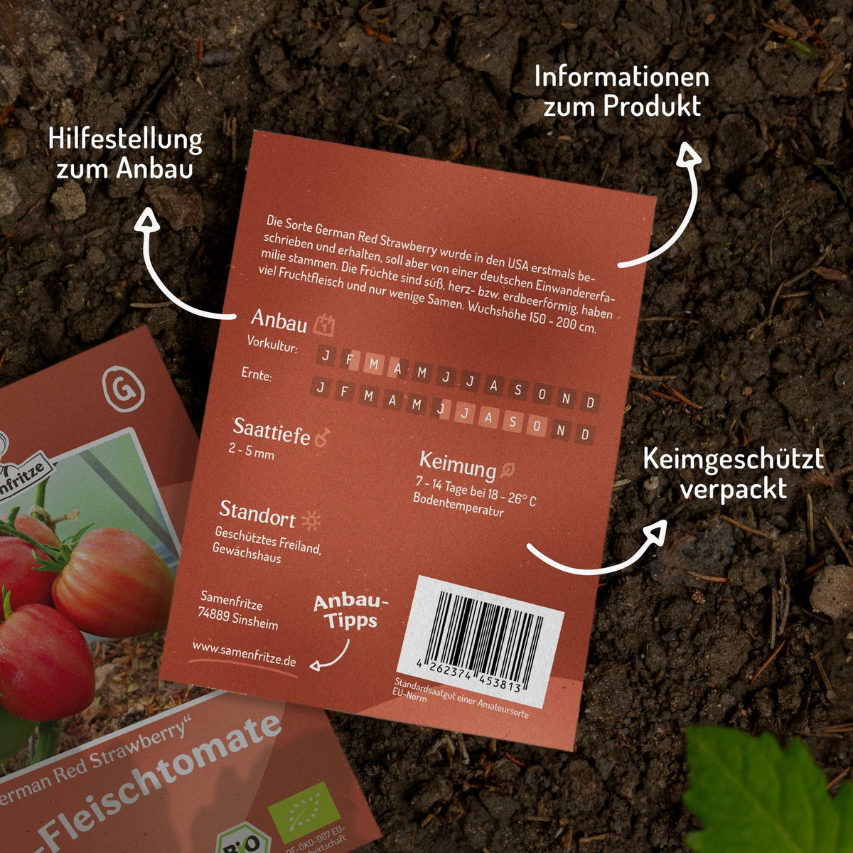German Red Strawberry Bio-Tomatensamen