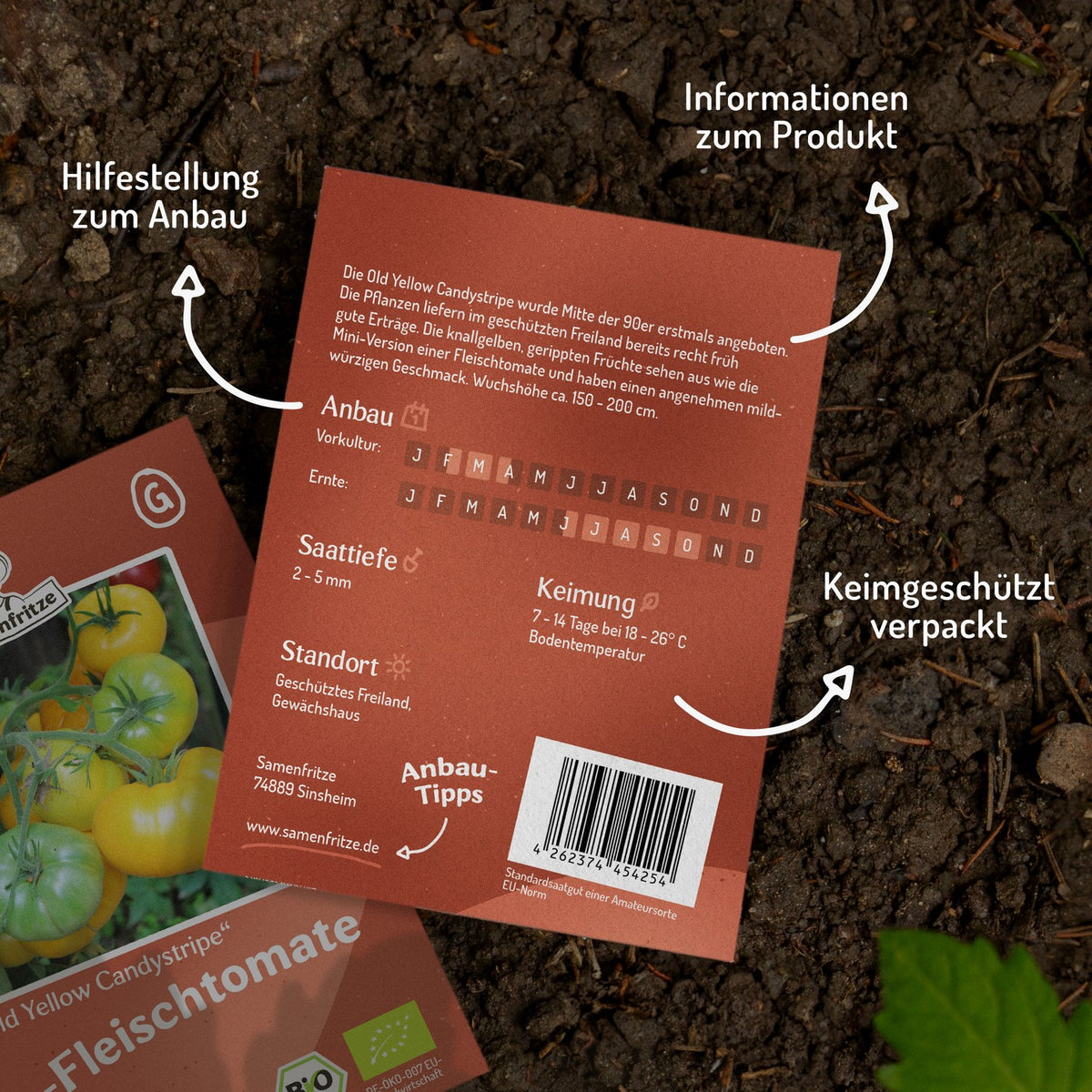 Old Yellow Candystripe Bio-Tomatensamen