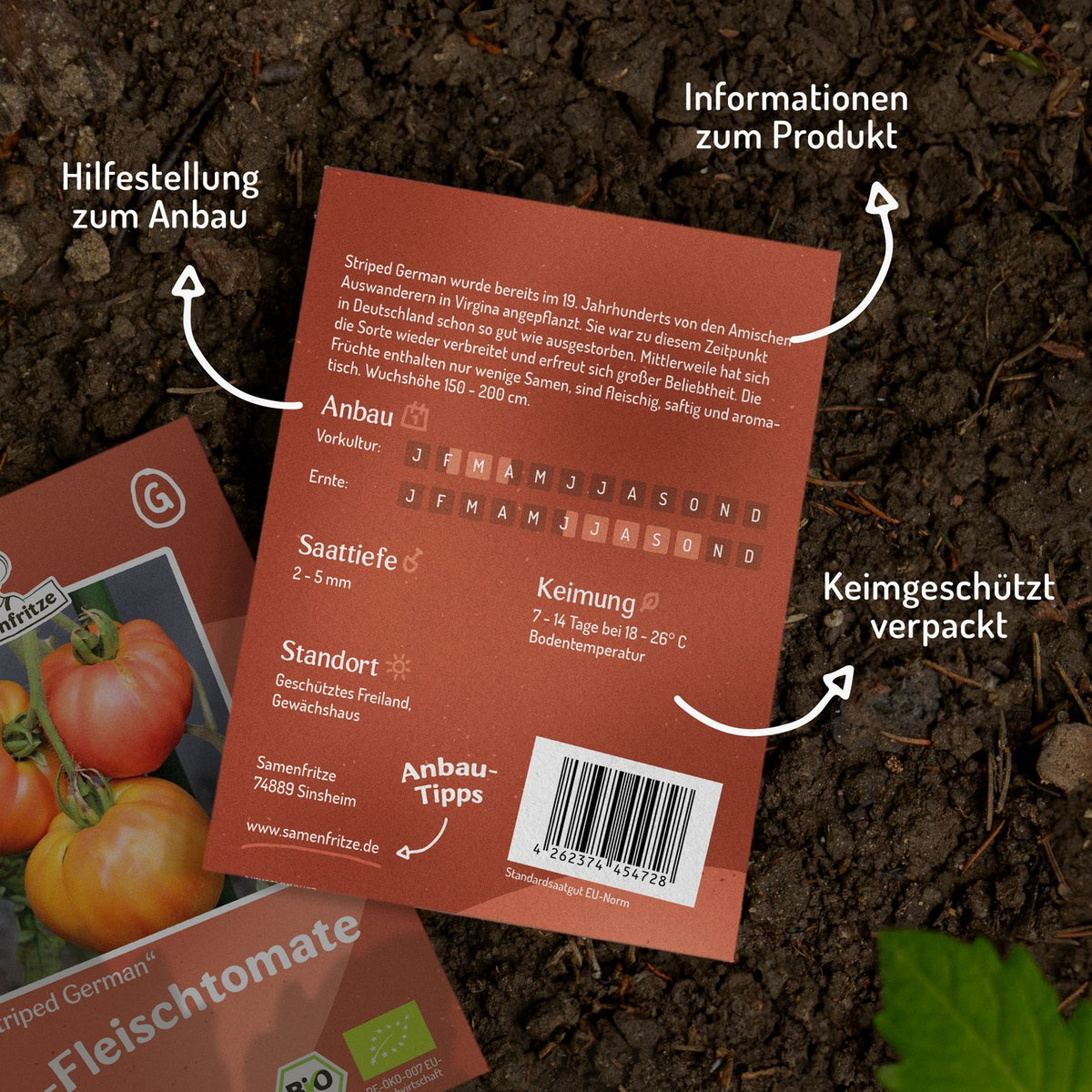 Striped German Bio-Tomatensamen