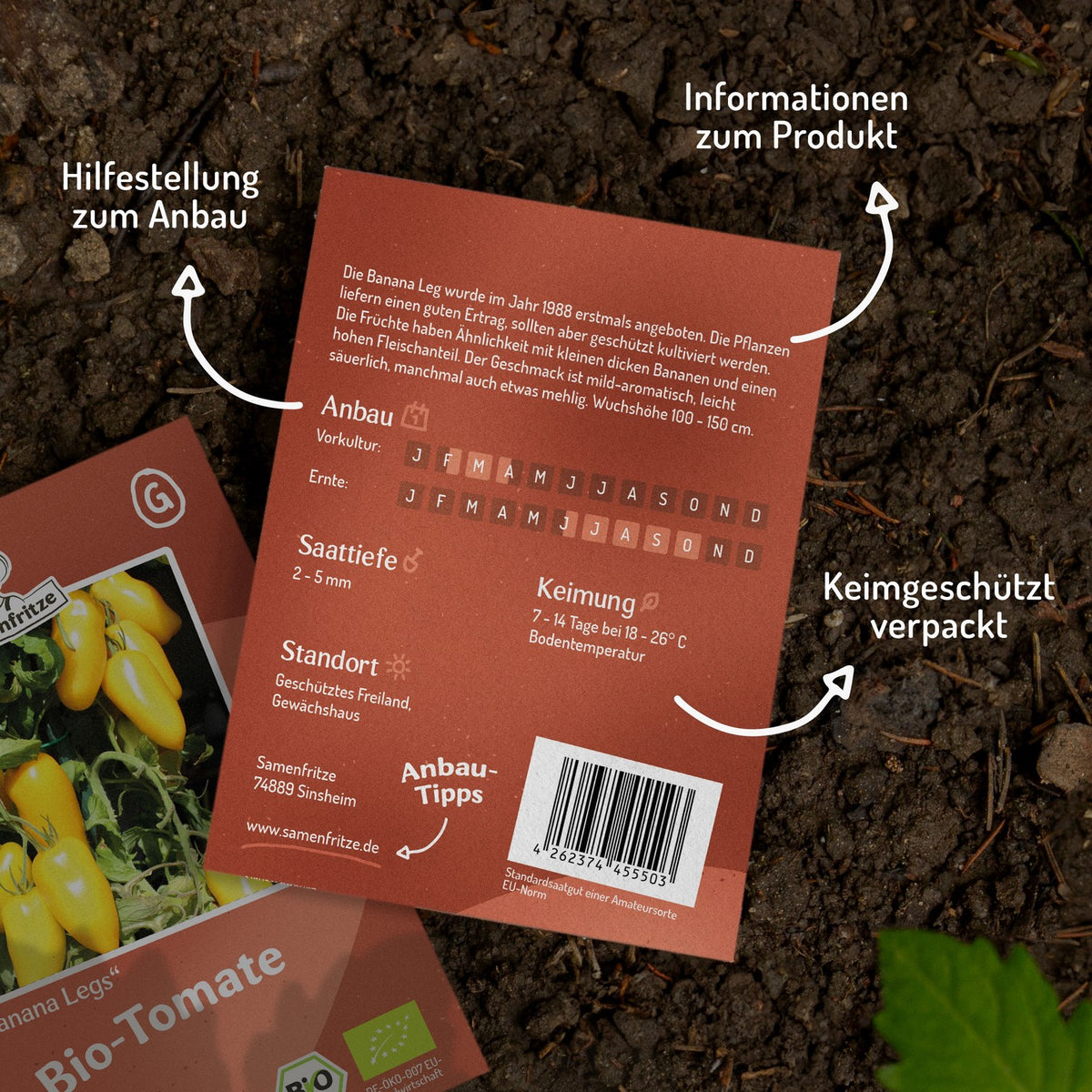 Banana Legs Bio-Tomatensamen