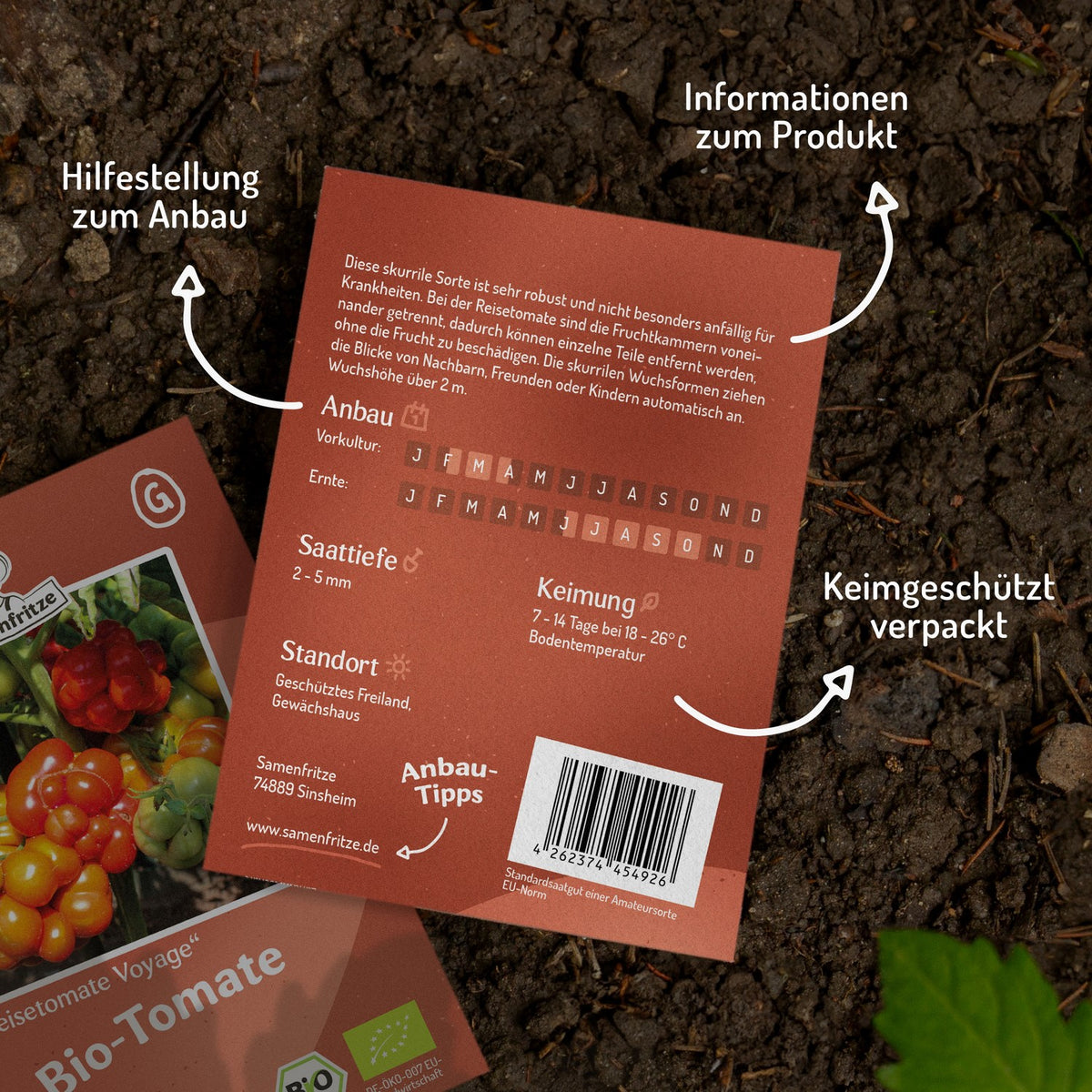 Reisetomate Bio-Tomatensamen