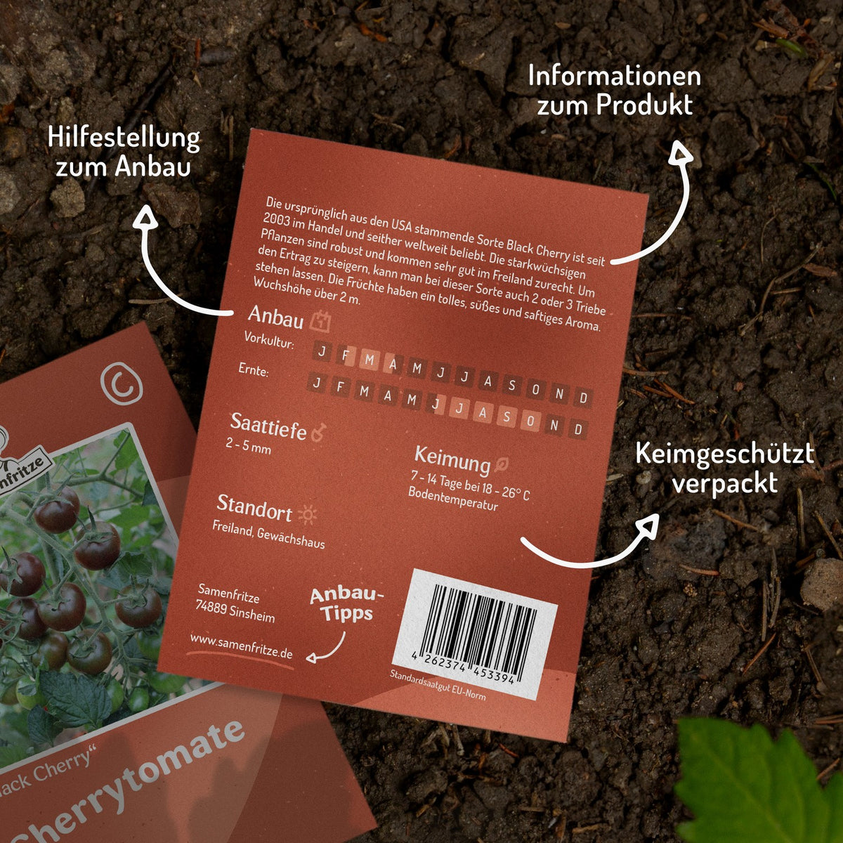 Black Cherry Tomatensamen