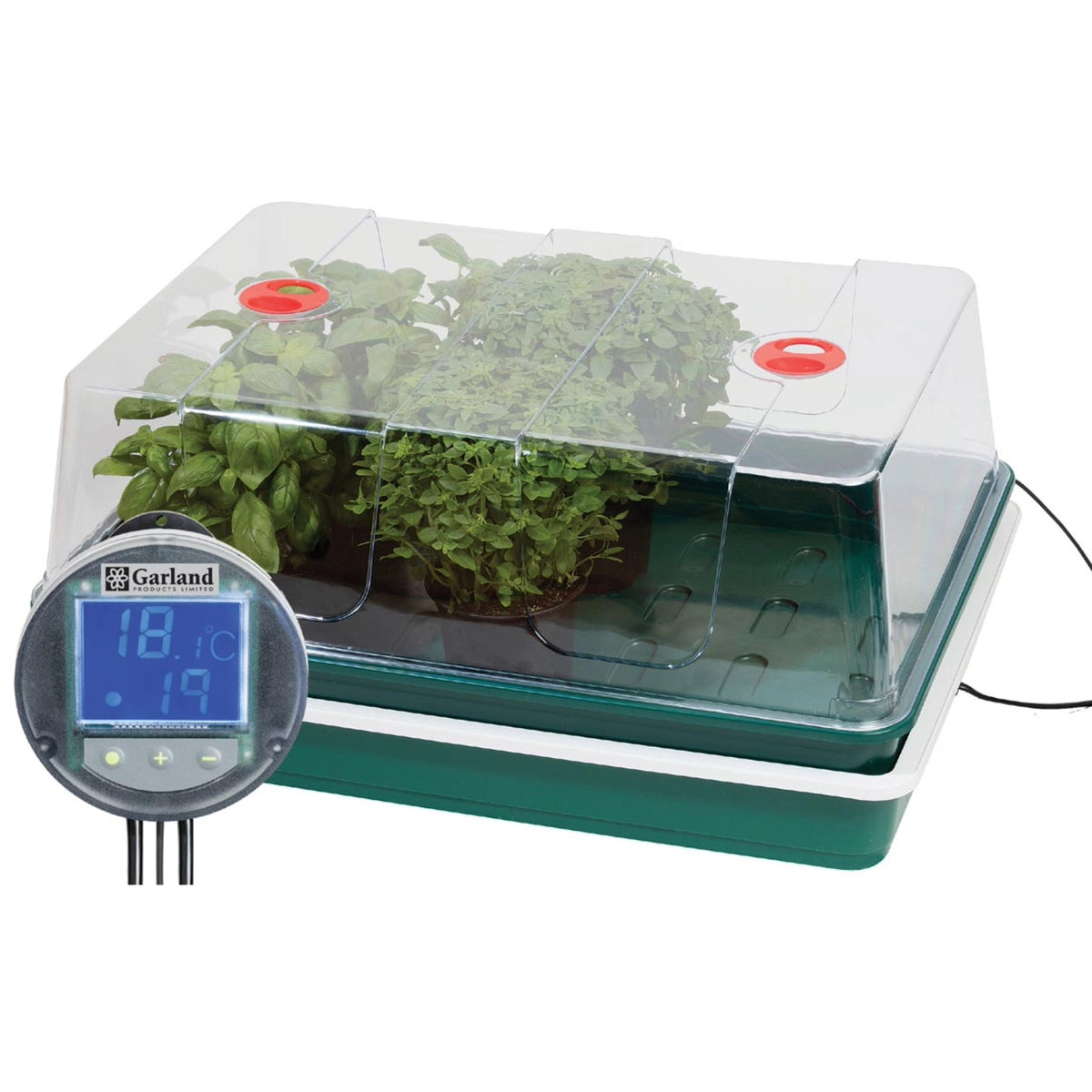 Elektrisches Zimmergewächshaus „Professional Temperature Control“ – digitales Temperaturkontrollsystem