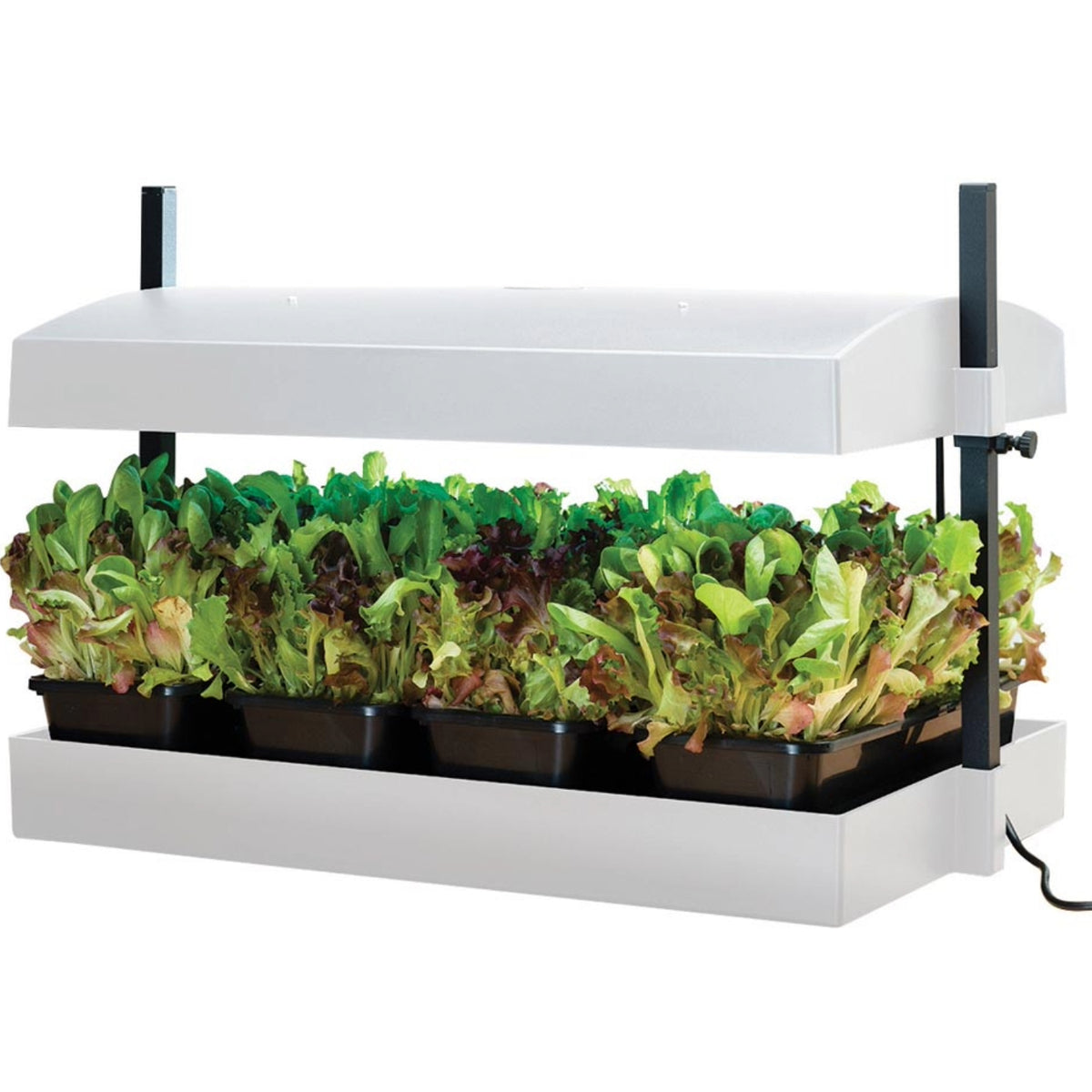Küchengarten LED Weiß – 32-Watt LED Vollspektrum-Licht, Selbstbewässerungssystem