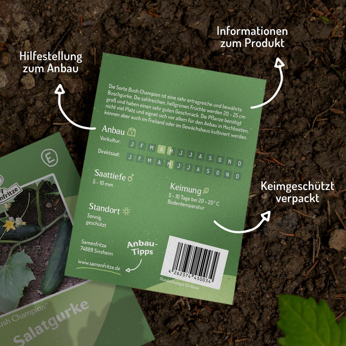 Salatgurke Bush Champion Samen