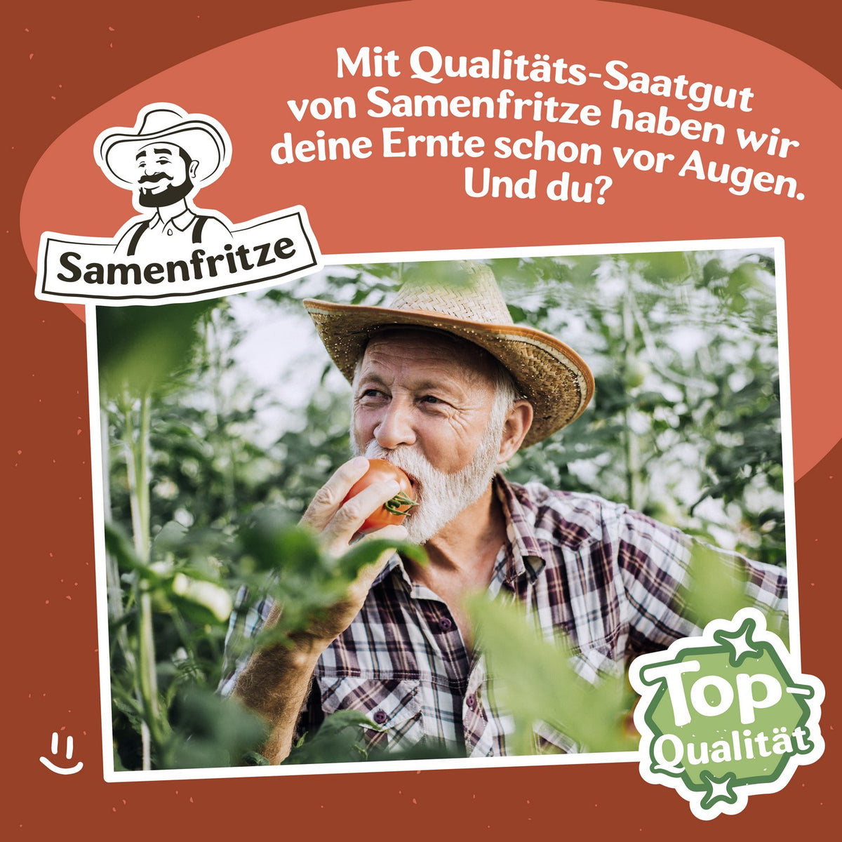 Freilandtomaten-Set – samenfritze