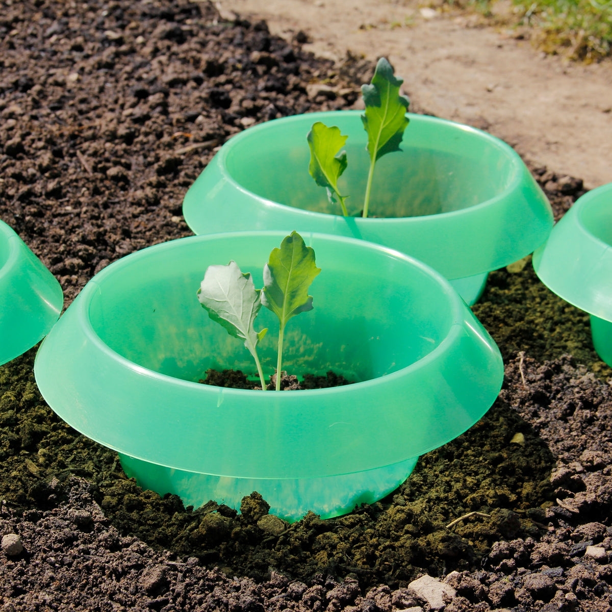 SchneckenStopp aus Kunststoff  grün 12er Set